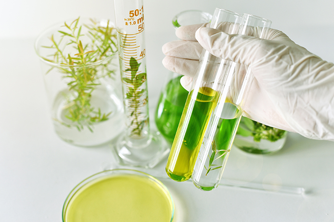 Natural medicine development in laboratory, Scientist researches