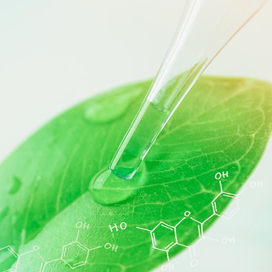 dermola-bio-nature-feuille